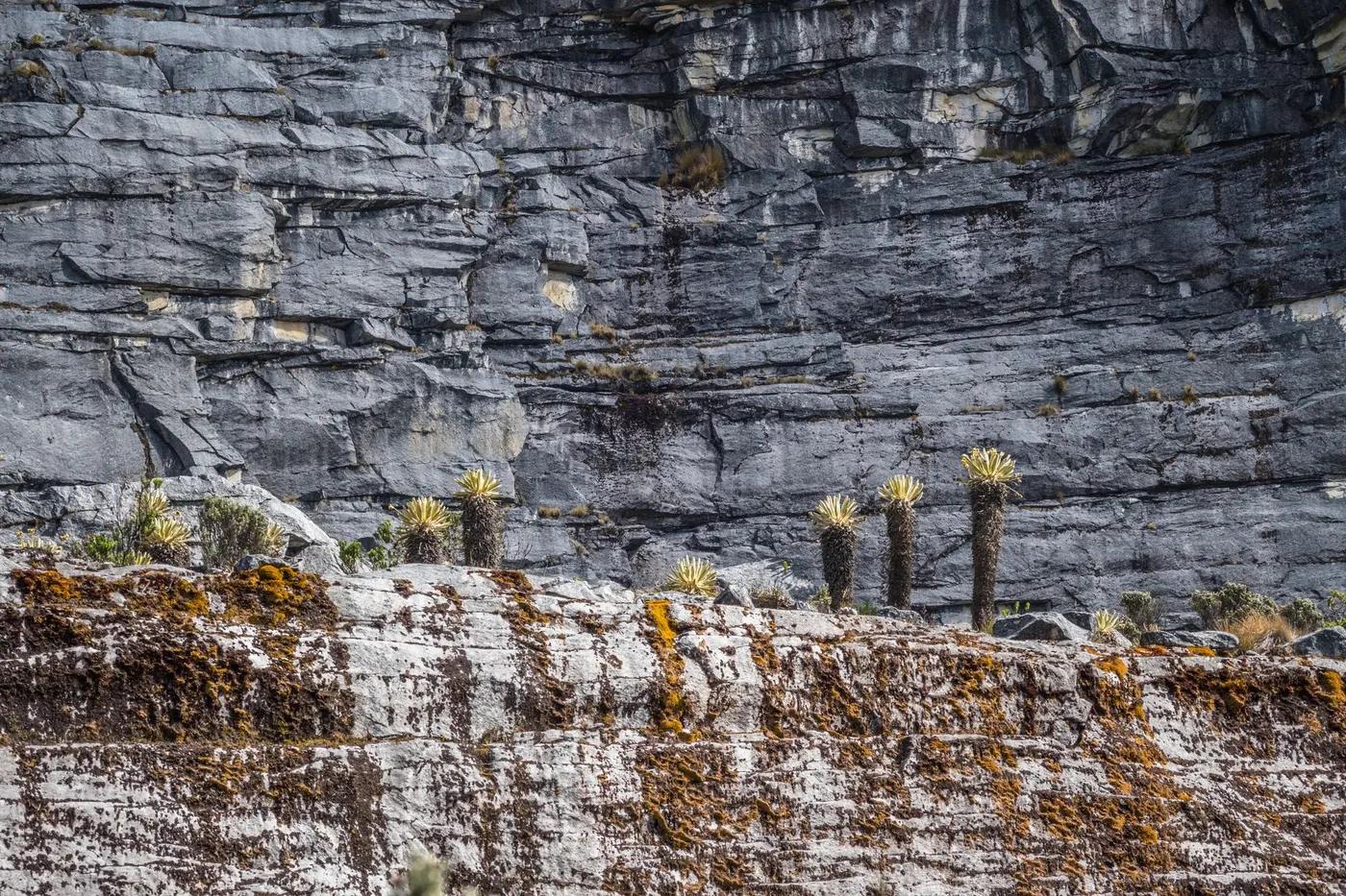 Explore the rugged rocky landscape of El Cocuy National Park, Boyacá, Colombia.