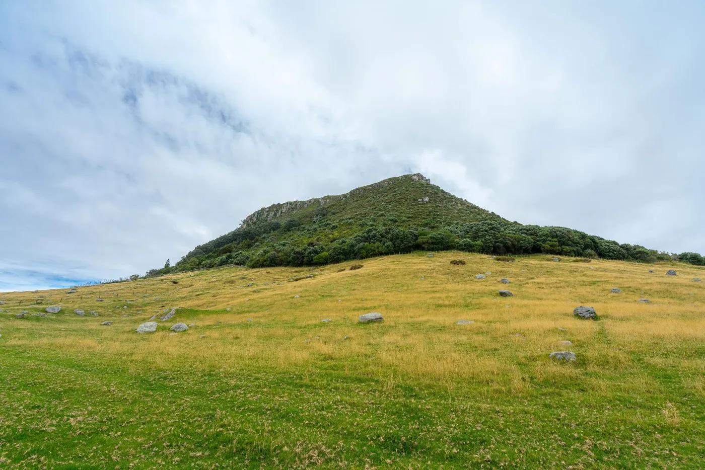 Scenic view of Mount Maunganui in Bay of Plenty, New Zealand, showcasing lush greenery and expansive fields.