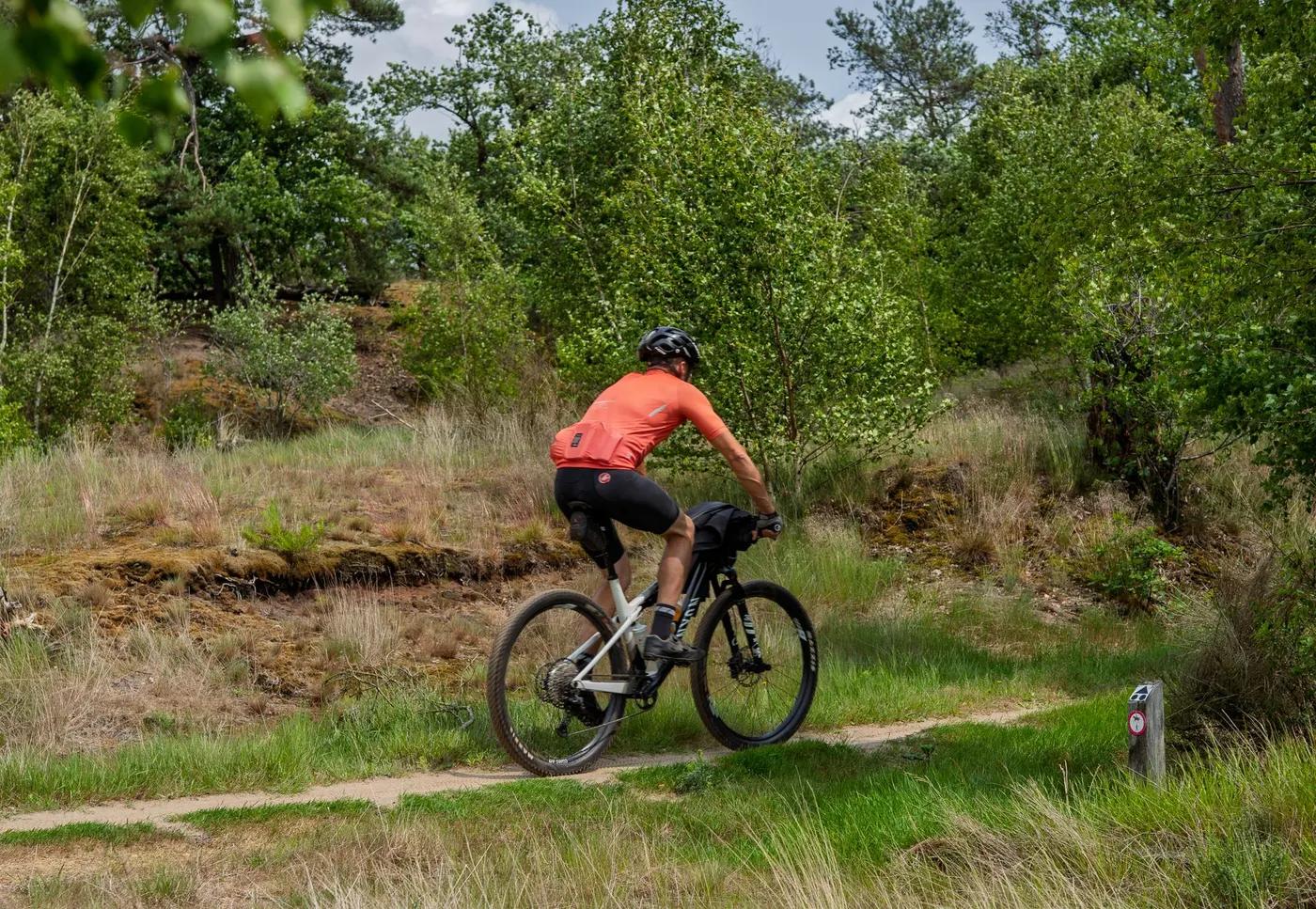 Adult cyclist rides mountain bike on a forest trail, enjoying outdoor nature adventure.