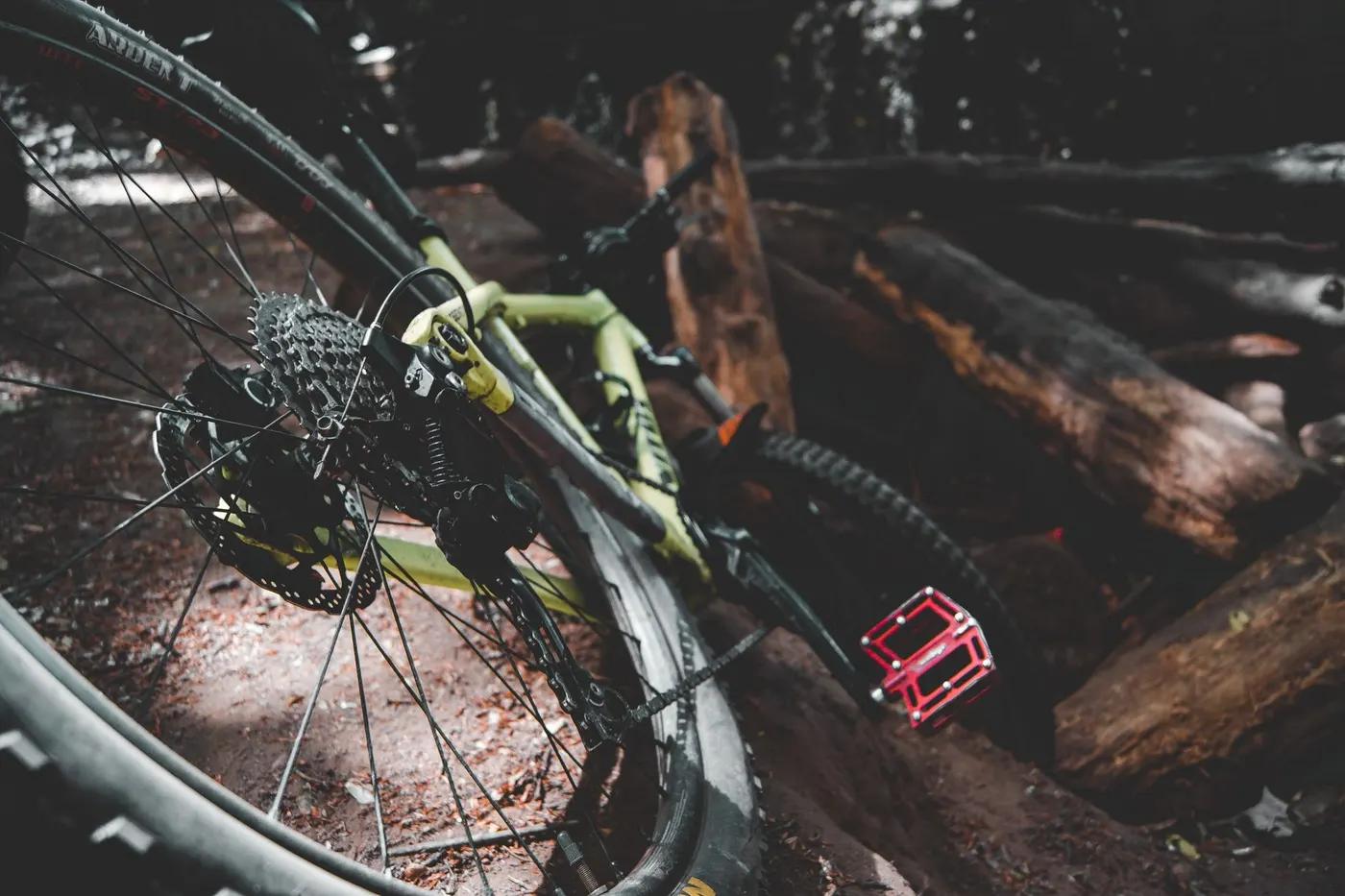 Modern professional bike placed on ground near fallen trees in woodland at daytime