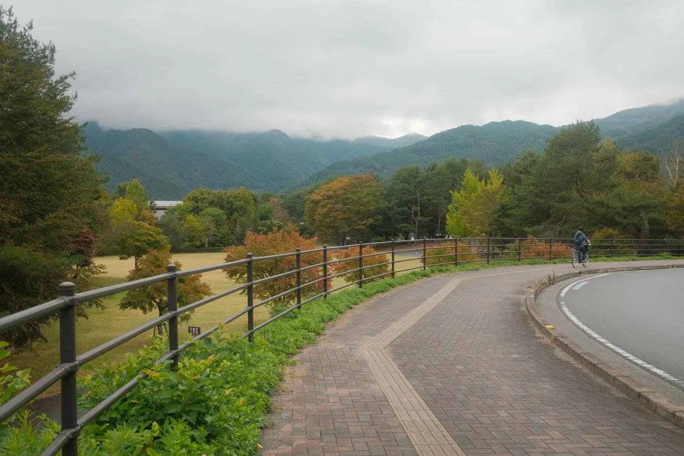 Peaceful autumn scene with a cyclist on a path in Fujikawaguchiko, Japan.