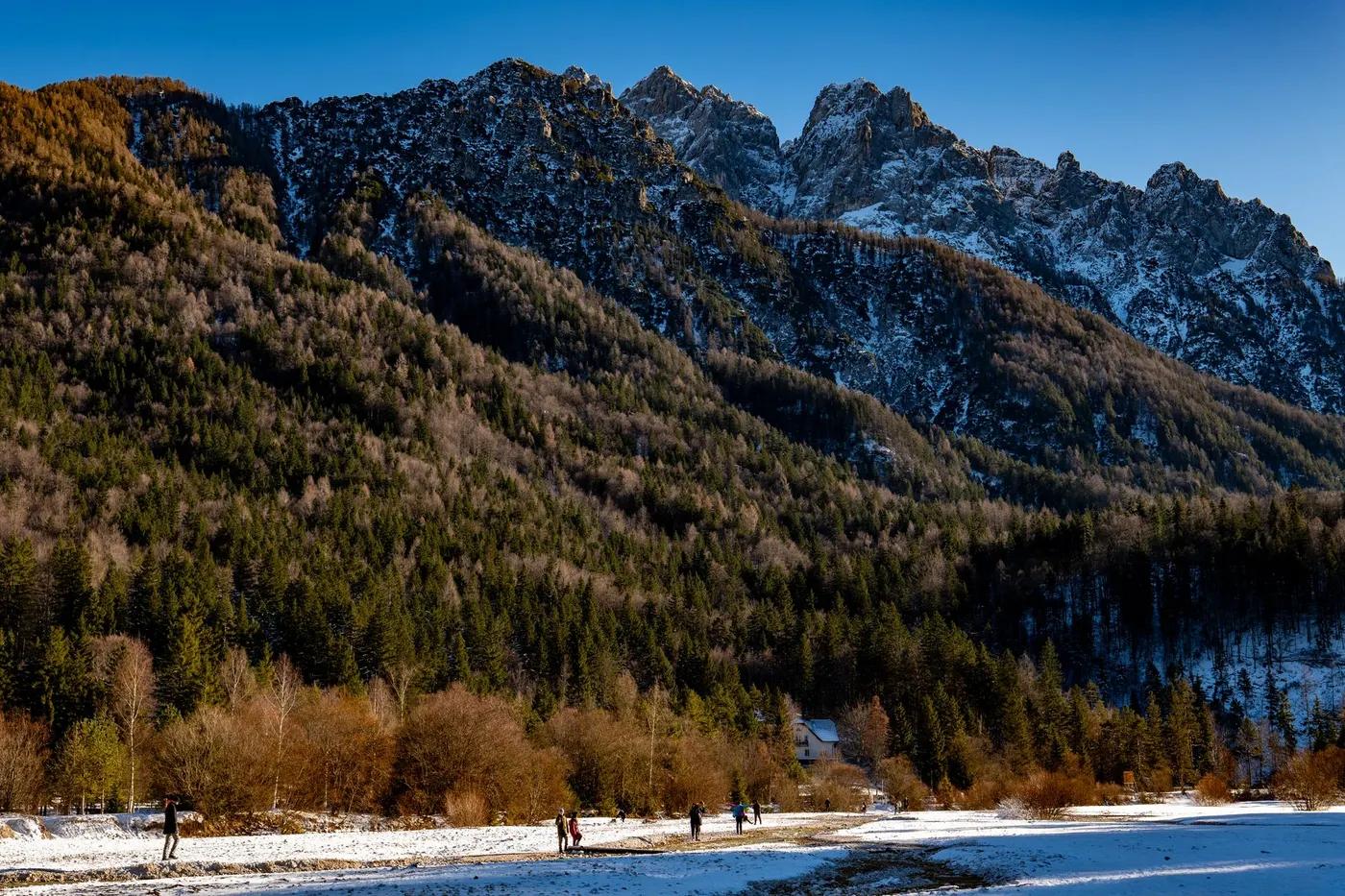 Stunning winter view of Kranjska Gora's mountains and forest.