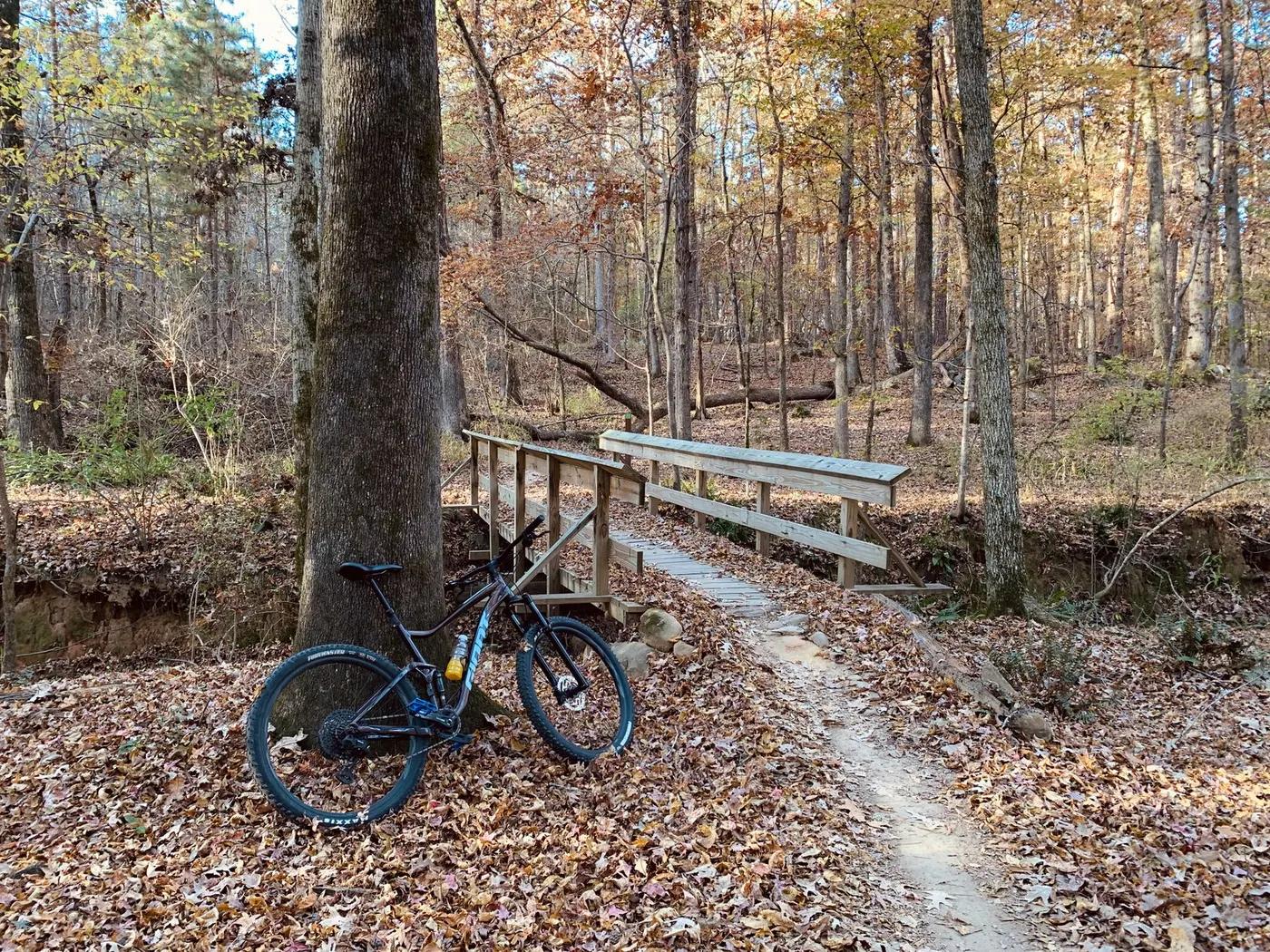 Serene autumn forest with a mountain bike beside a wooden bridge on a nature trail.