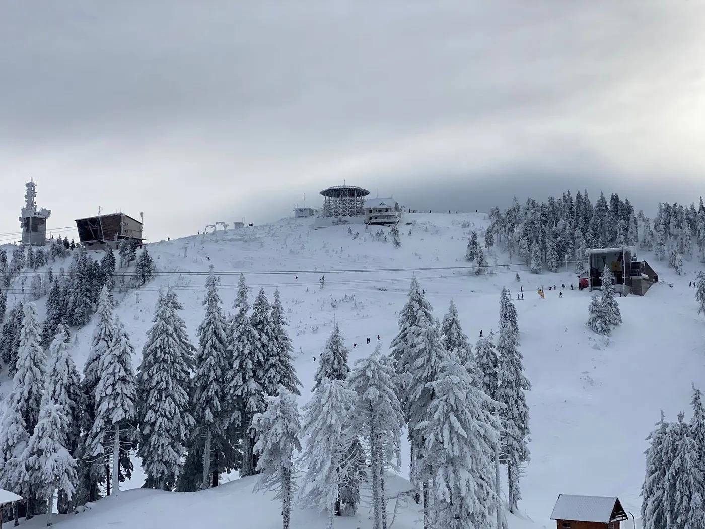 Serene winter landscape at a snowy mountain resort with frosty trees and ski lifts.