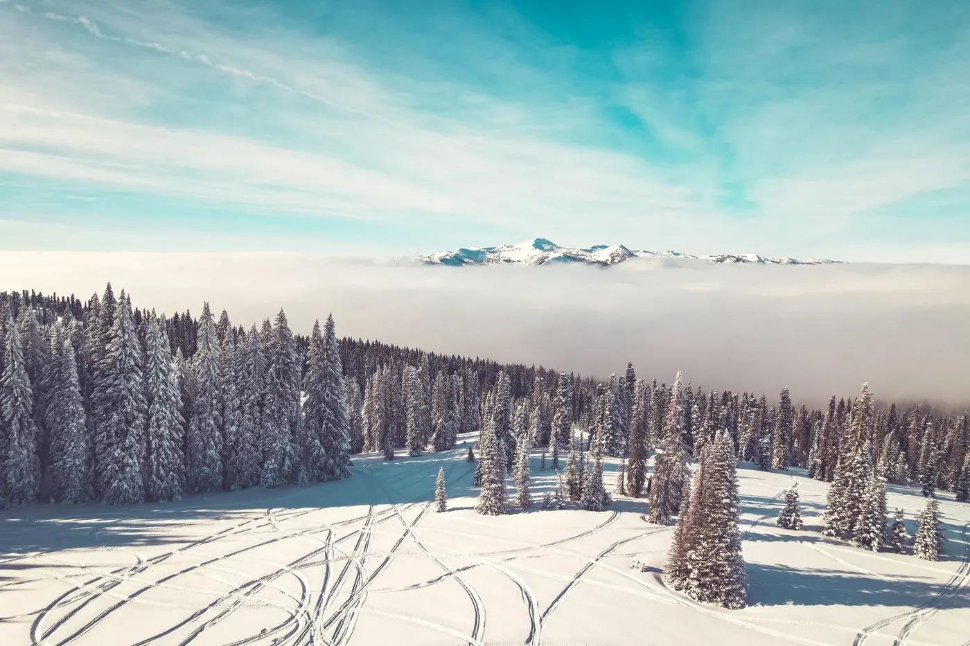 Snow-covered trees and tracks in Donnelly, ID, showcasing a serene winter mountain scene.