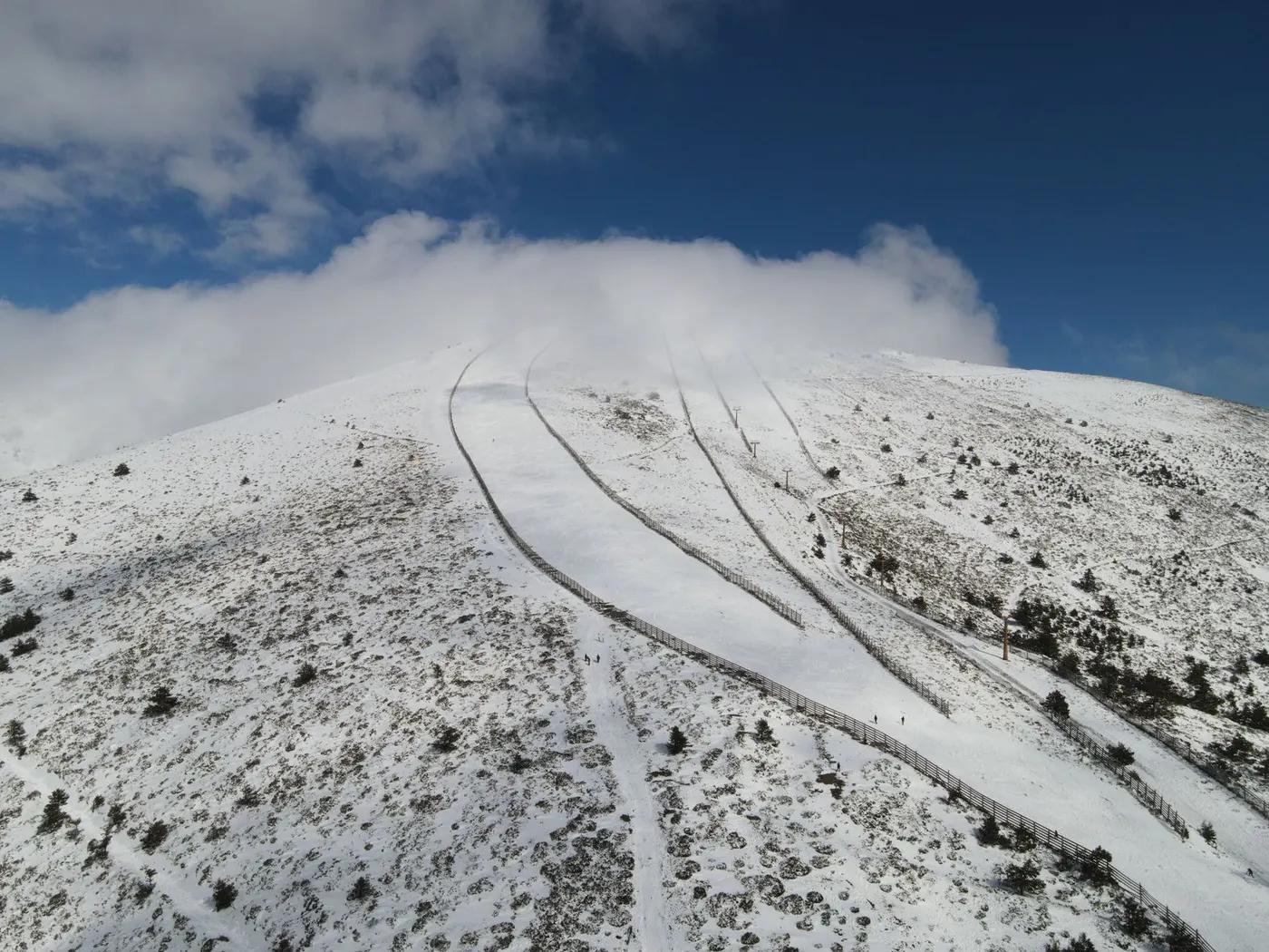 Masella