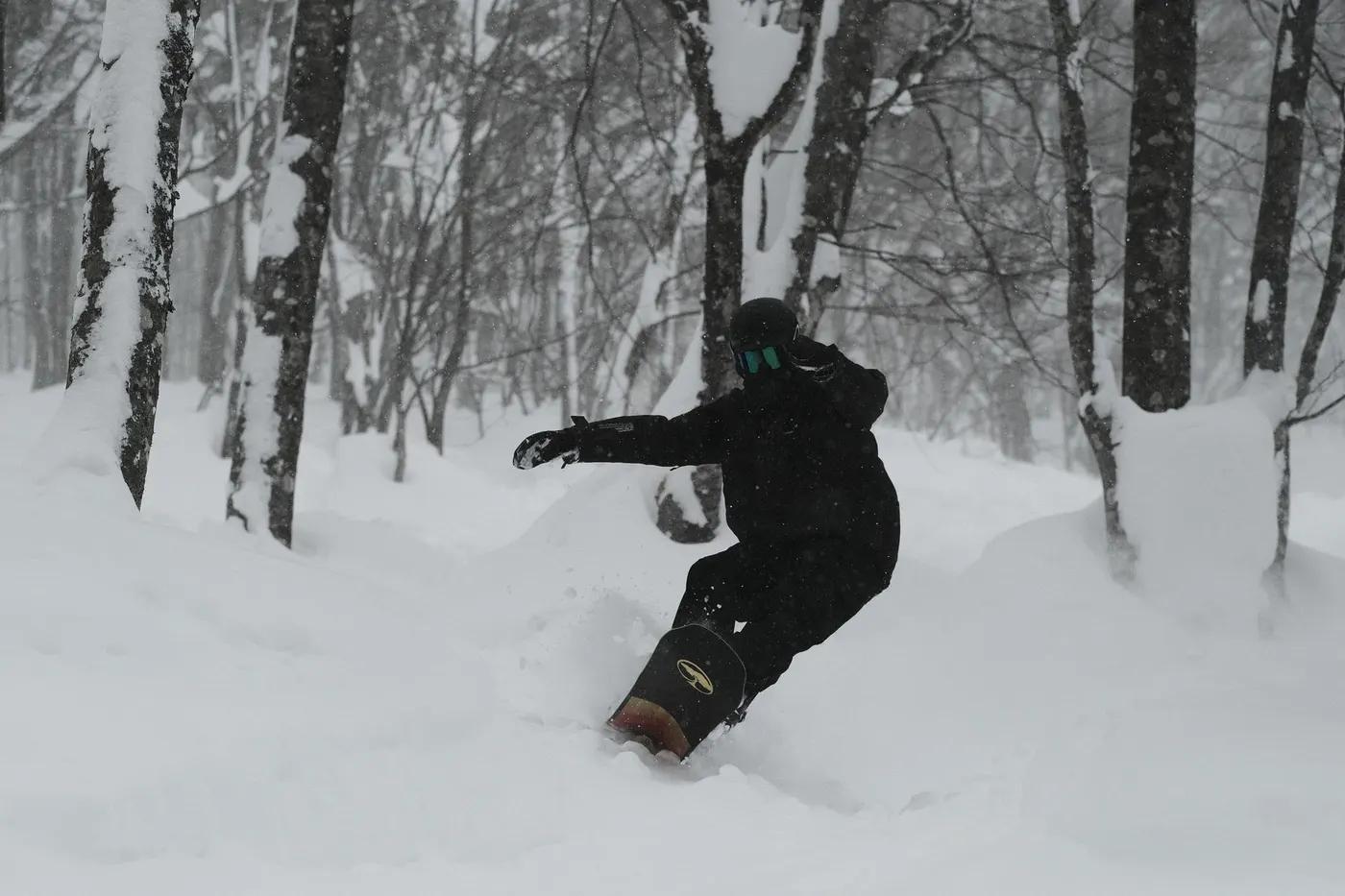 A snowboarder carves through fresh powder in a snowy Japanese forest, showcasing thrilling winter sports action.