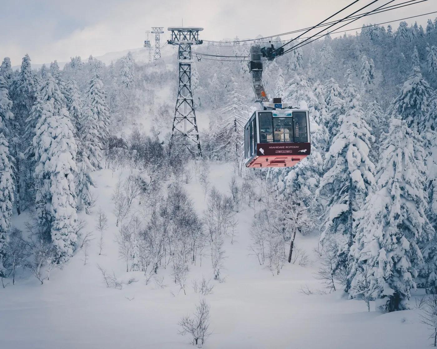 A scenic aerial tramway traveling through a snow-covered forest during wintertime.