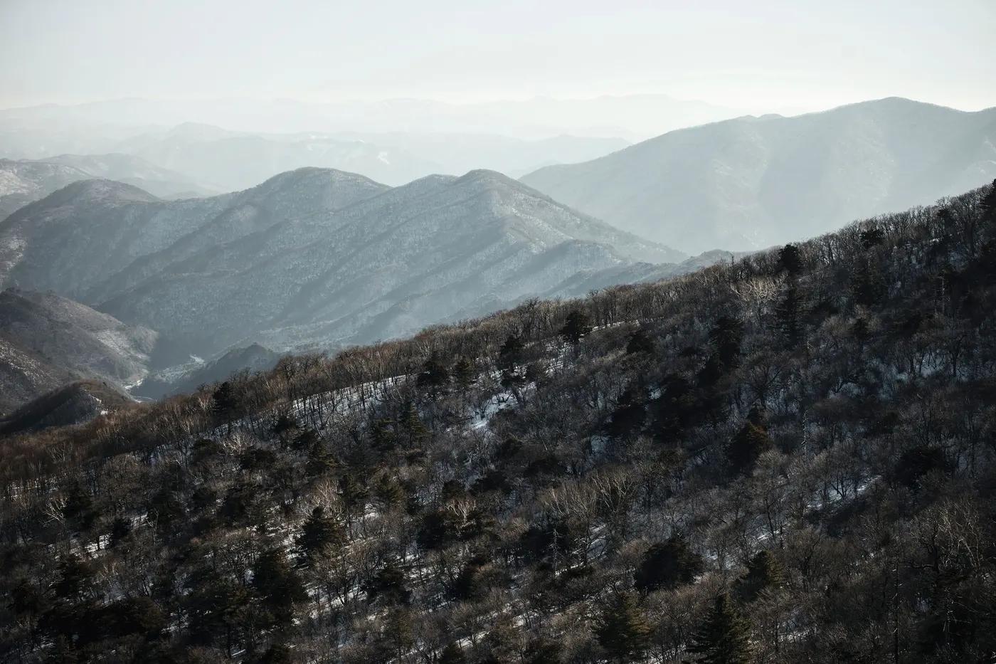 A stunning aerial view of snow-covered hills and forests in Pyeongchang, South Korea.