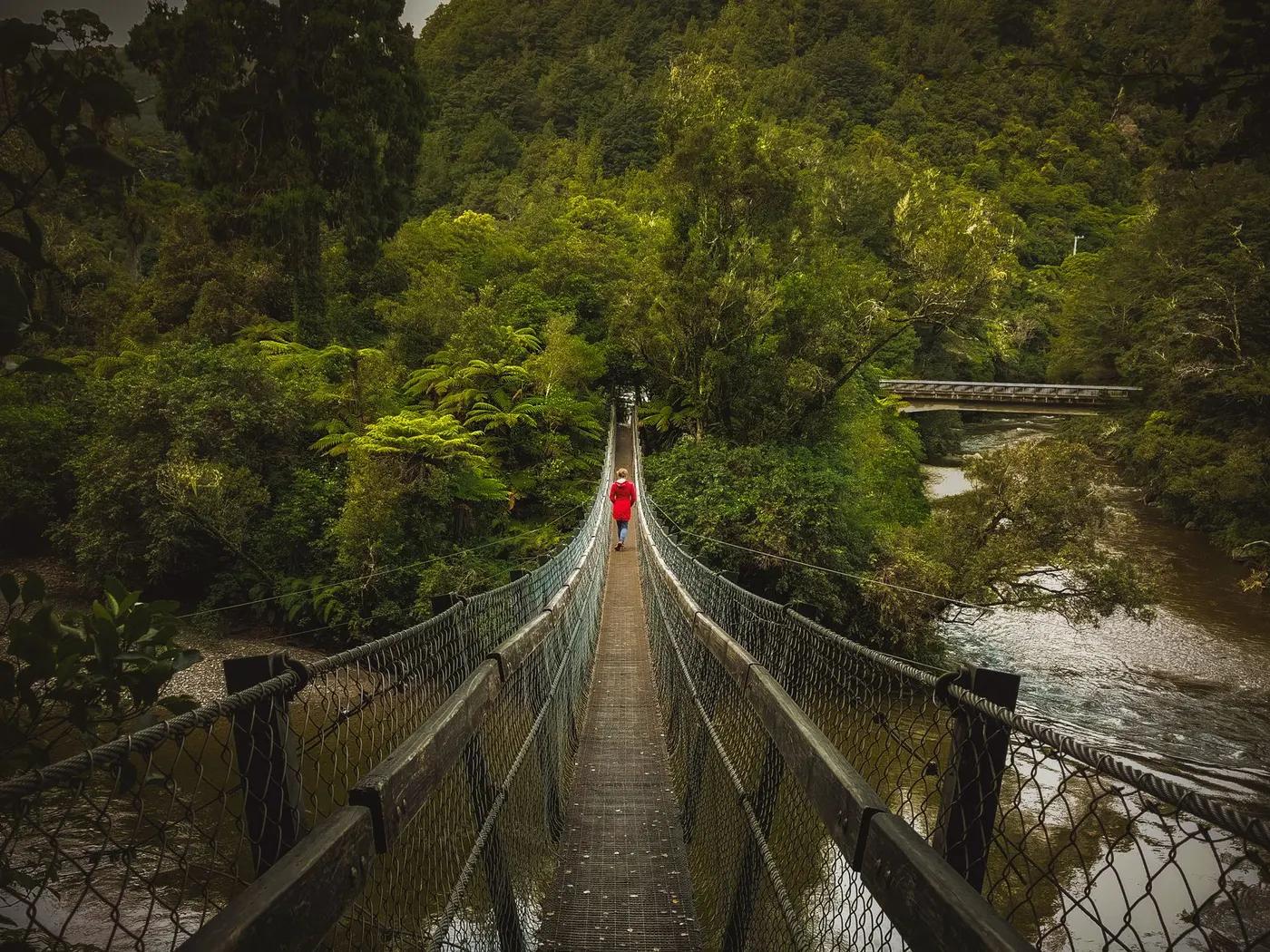 A serene view of a suspension bridge amidst a dense forest in Upper Hutt, New Zealand.