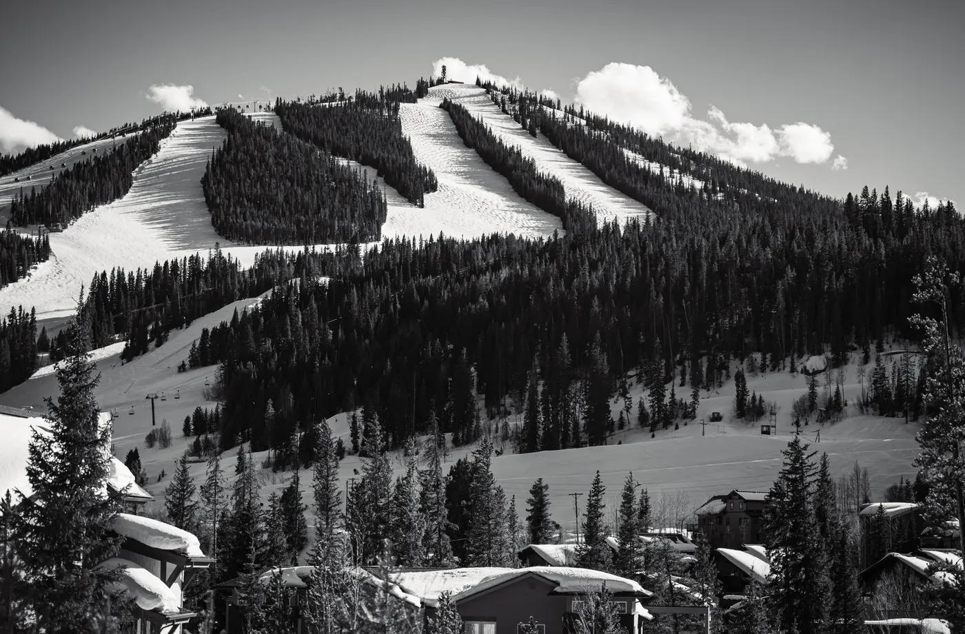 Monochrome view of a snow-covered ski resort with evergreen trees and clear skies.