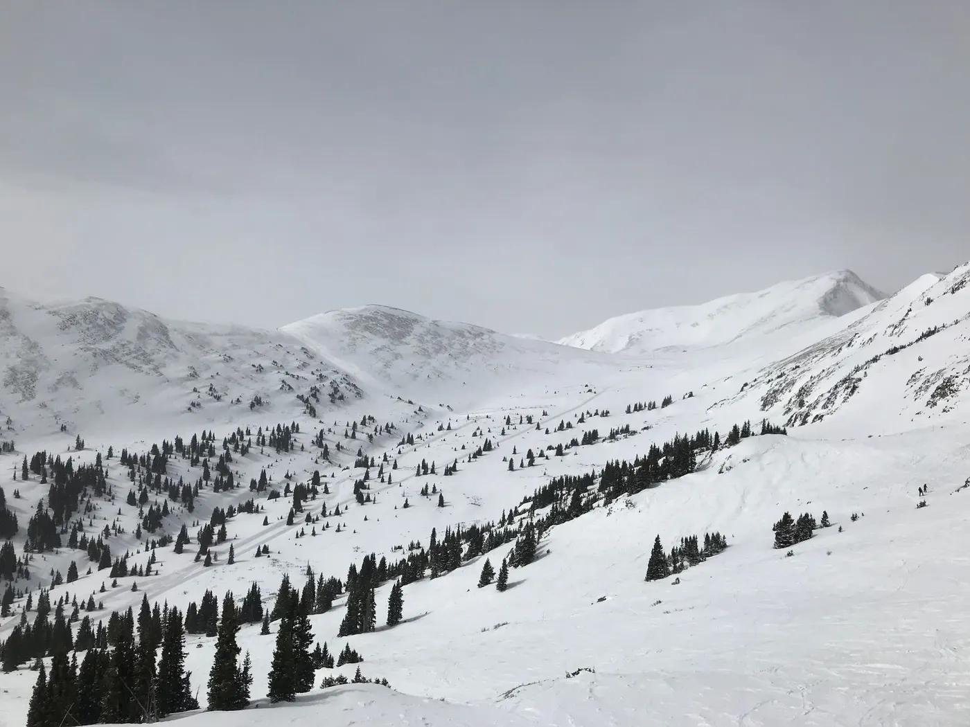 Stunning view of the snow-covered Copper Mountain with scattered alpine trees.